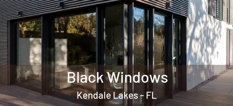  Black Windows Kendale Lakes - FL