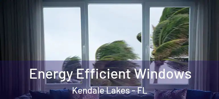  Energy Efficient Windows Kendale Lakes - FL