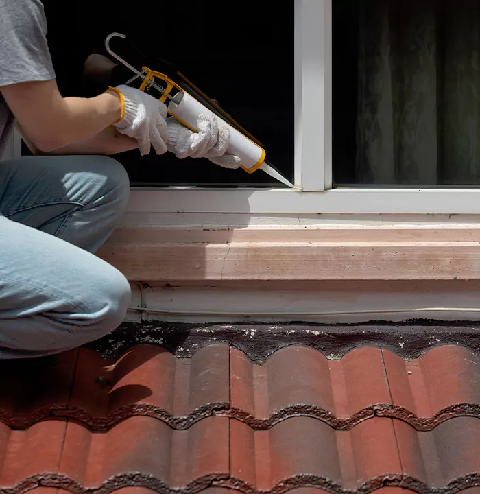 Roof Window Services in Kendale Lakes, Florida