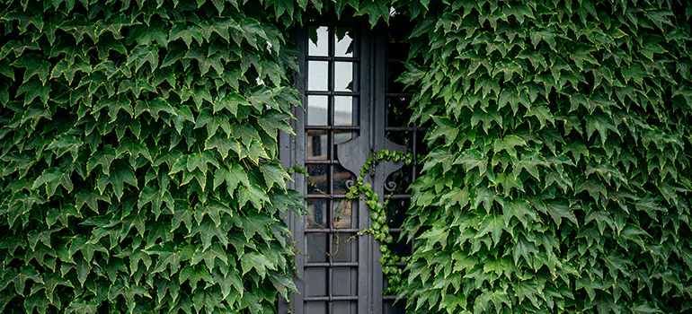 Garden Gate Repair in Kendale Lakes, FL
