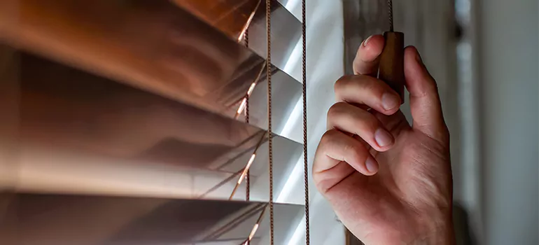 Double Roller Blinds in Kendale Lakes, FL