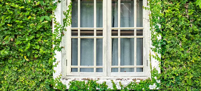 Garden Window Repair Near Me in Kendale Lakes, FL
