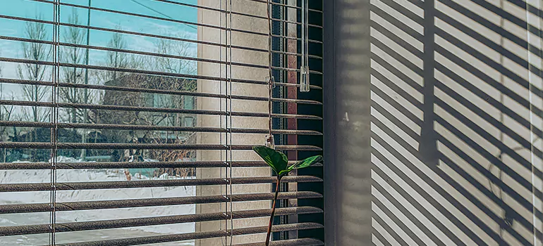 Commercial Window Blinds in Kendale Lakes, FL