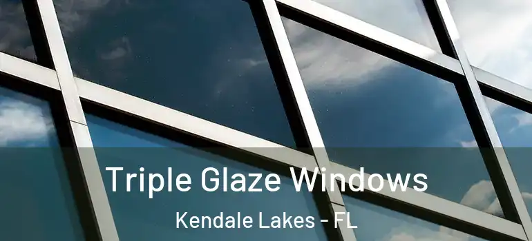  Triple Glaze Windows Kendale Lakes - FL