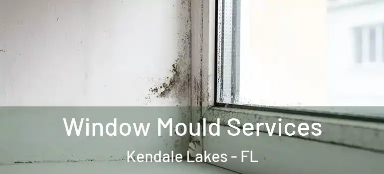  Window Mould Services Kendale Lakes - FL