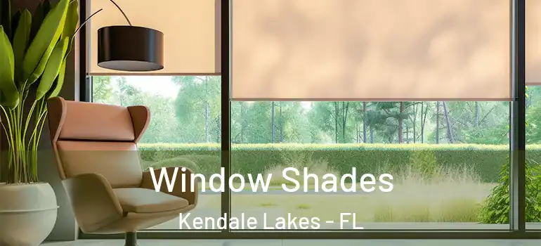  Window Shades Kendale Lakes - FL